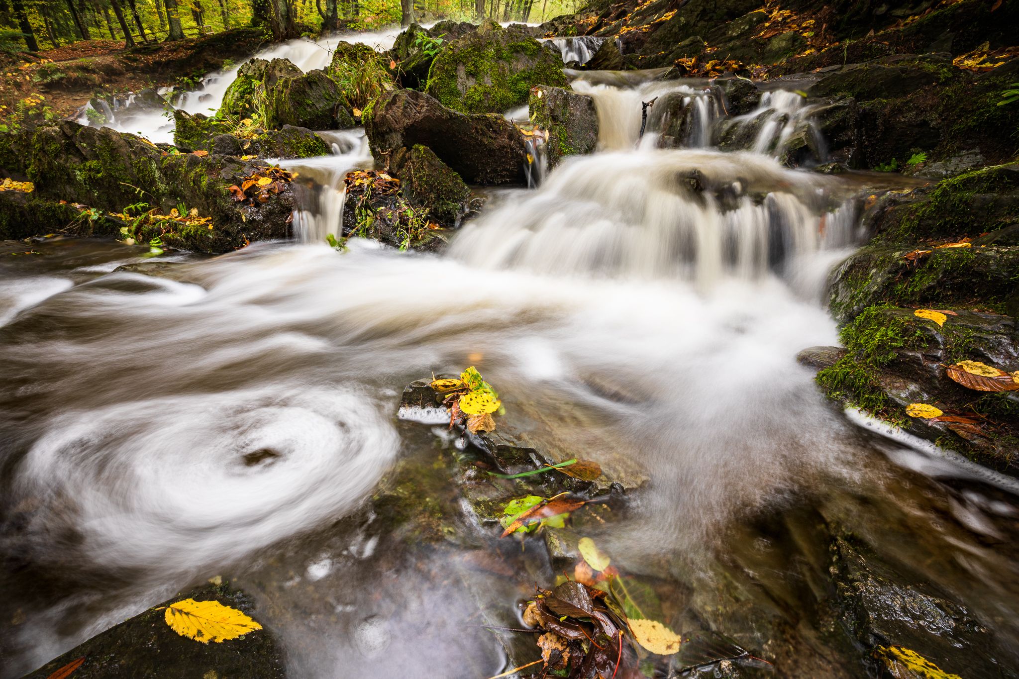 Selkefall - Saxony-Anhalt, Germany