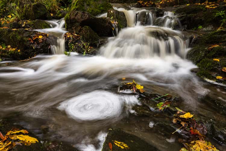 Selkefall - Saxony-Anhalt
