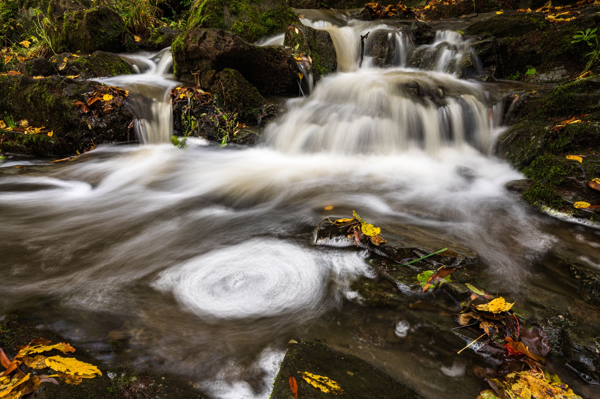 Selkefall - Saxony-Anhalt, Germany