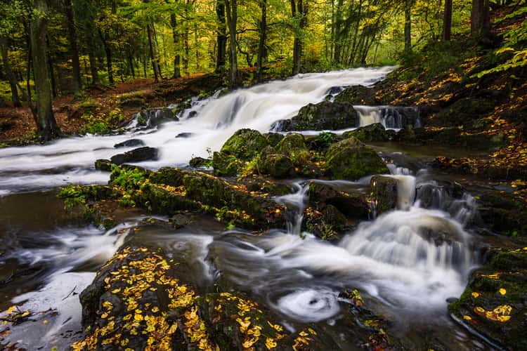 Selkefall - Saxony-Anhalt