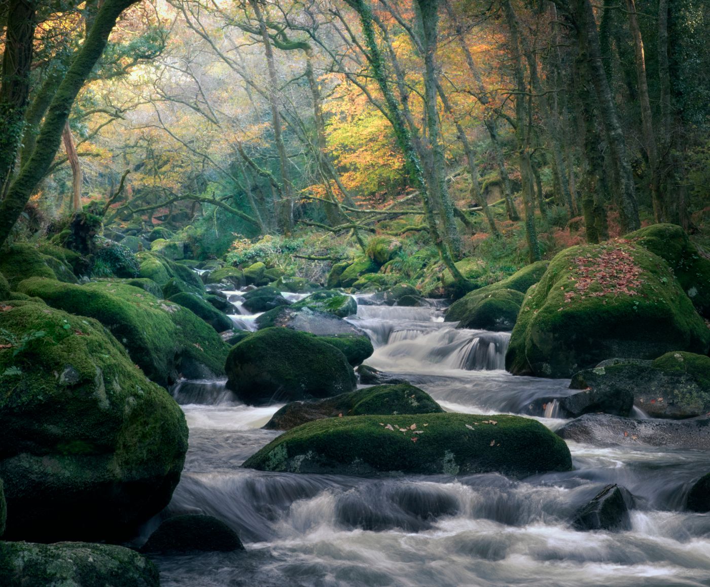 Shaugh Prior Bridge, United Kingdom