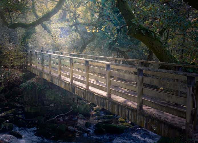 Shaugh Prior Bridge