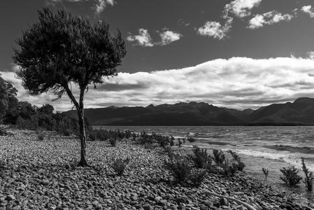 Shoreline on Lake Te Anau