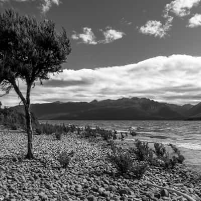 Shoreline on Lake Te Anau, New Zealand
