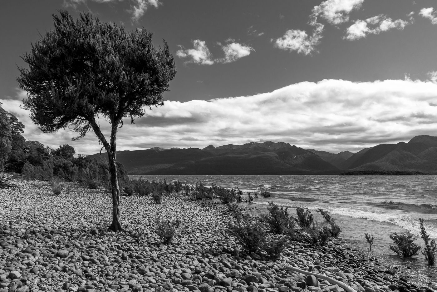 Shoreline on Lake Te Anau, New Zealand