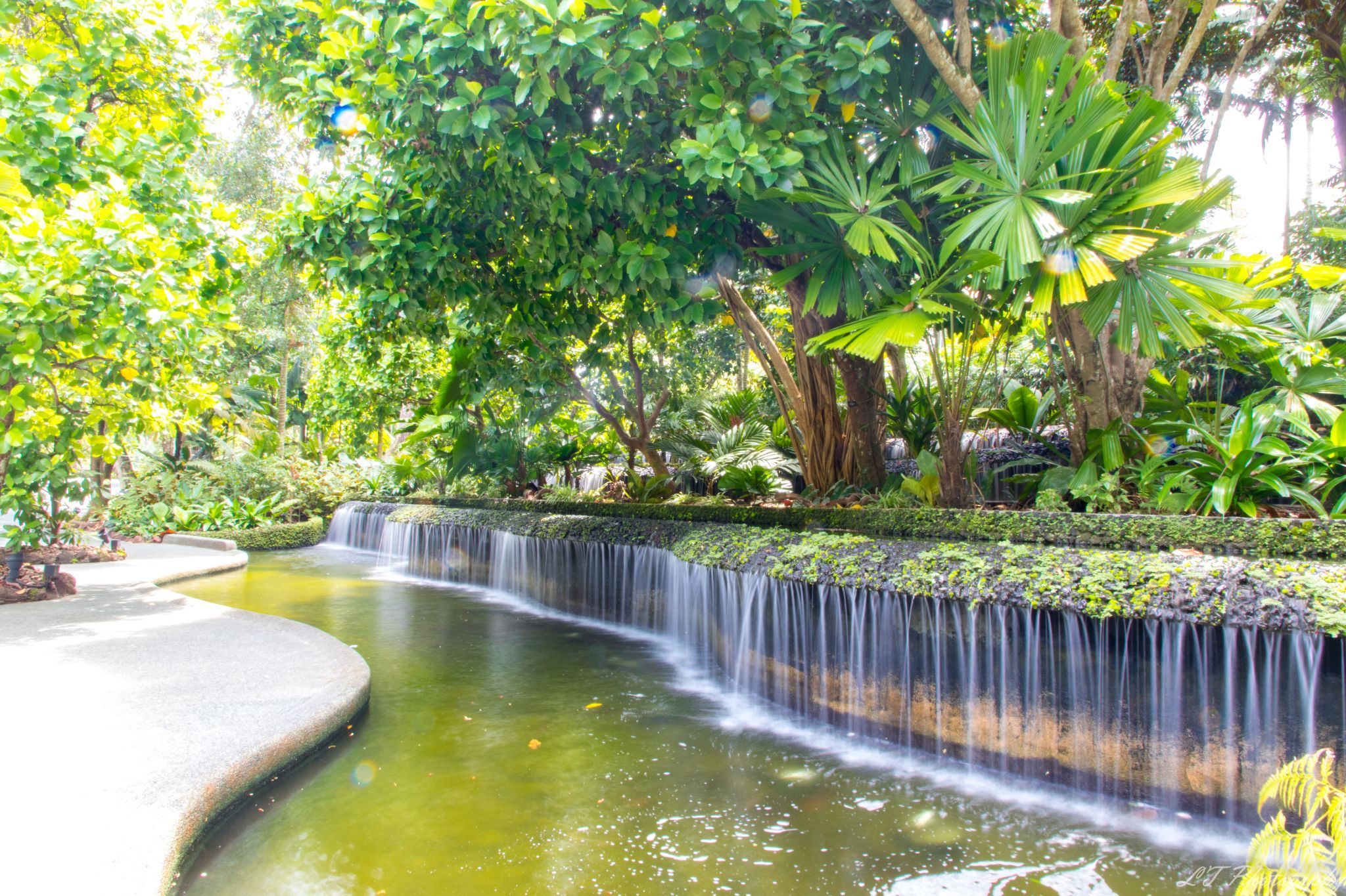 Singapore Botanical Gardens, Singapore