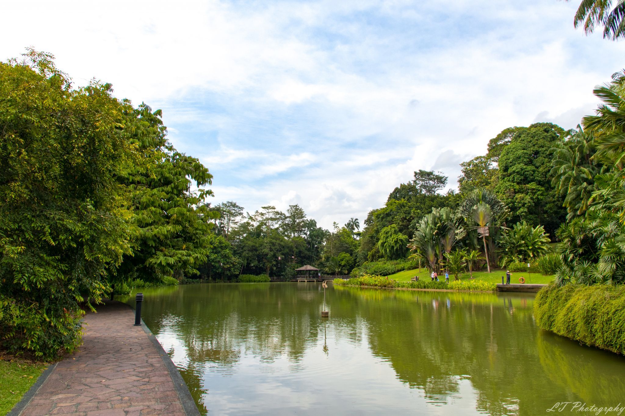 Singapore Botanical Gardens, Singapore