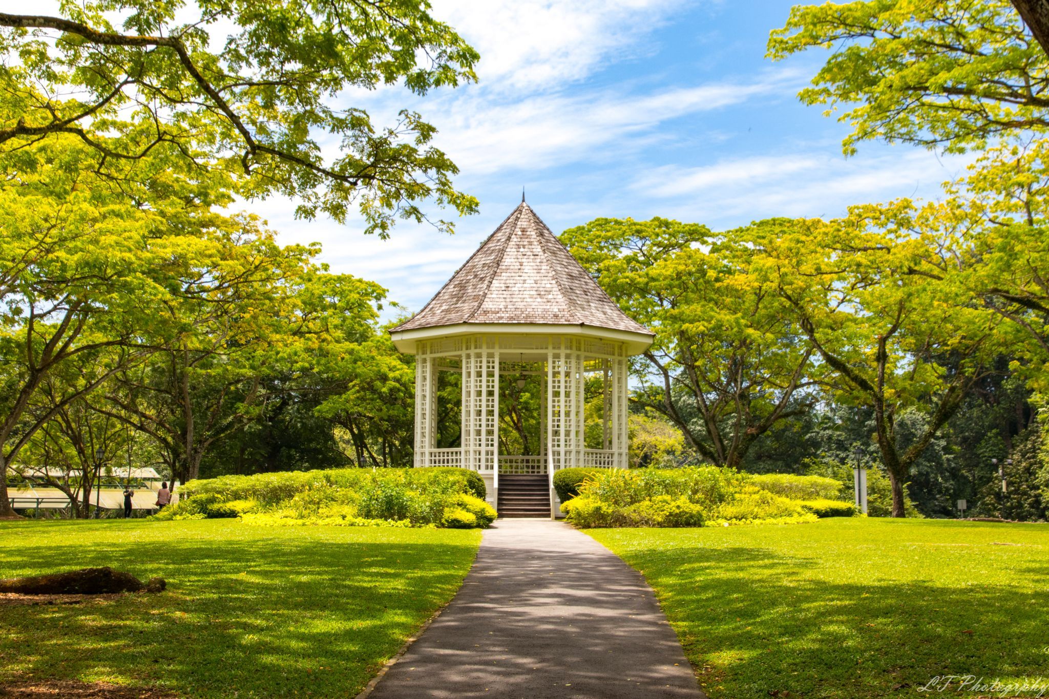 Singapore Botanical Gardens, Singapore