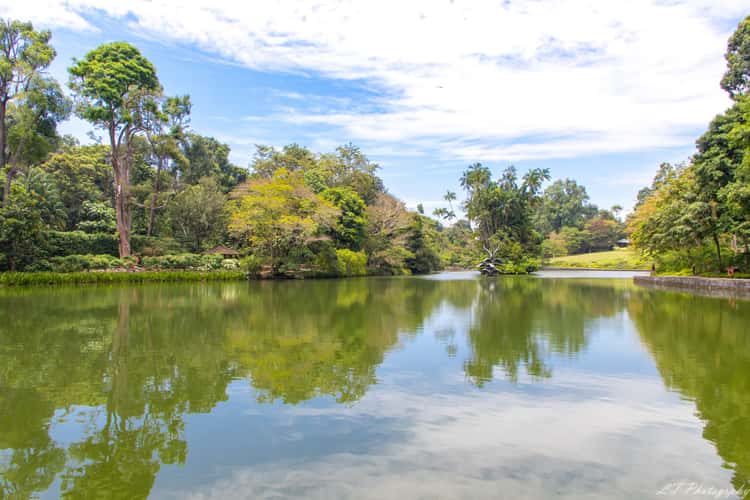 Singapore Botanical Gardens