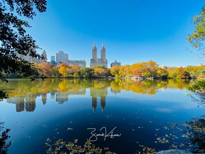 The Plaza in Foliage, New York City