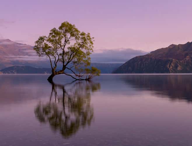 Lake Wanaka - The lonely Tree