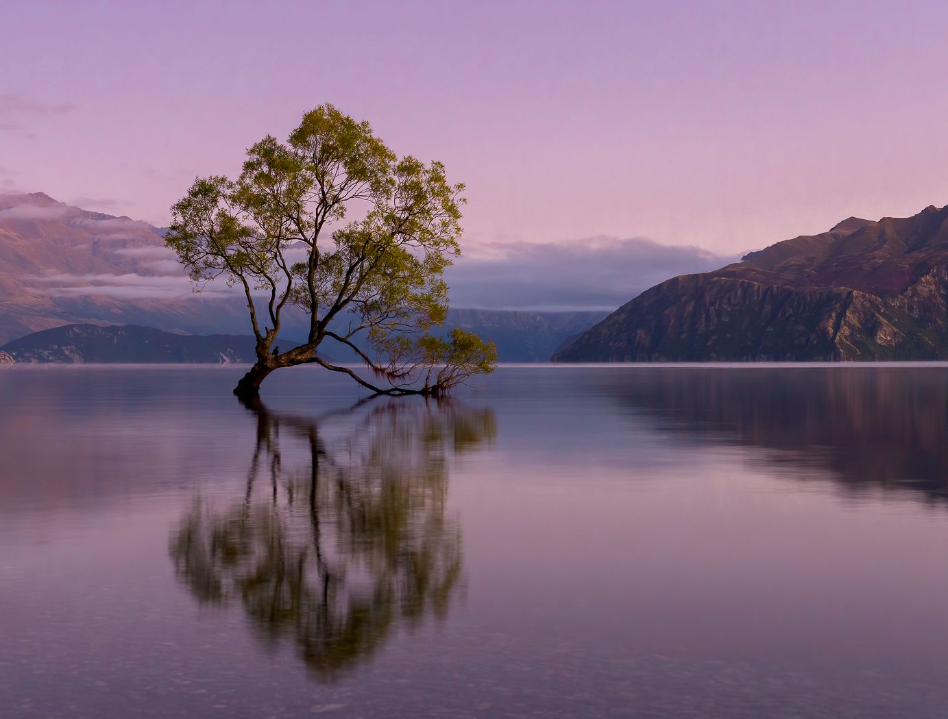 Lake Wanaka - The lonely Tree, New Zealand