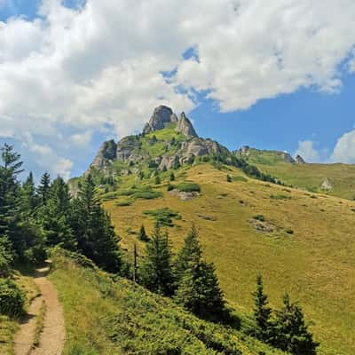 Tigaile Mari, Romania