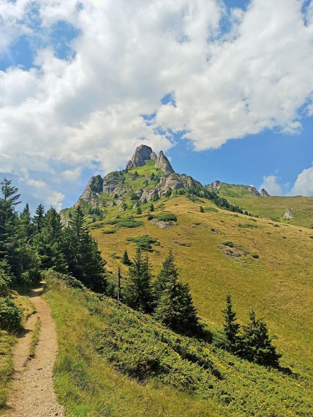 Tigaile Mari, Romania