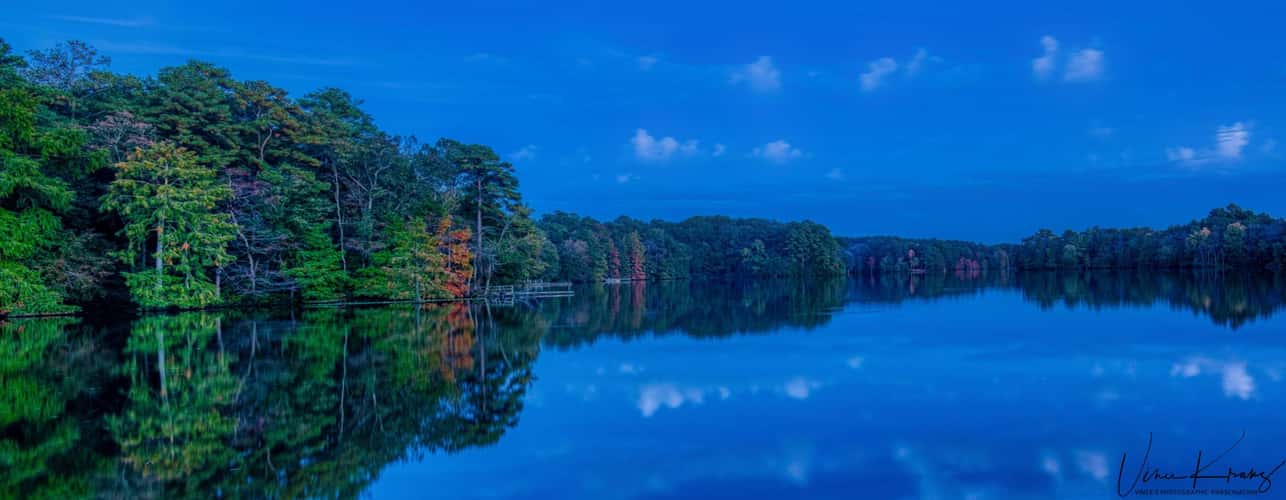 Trap Pond