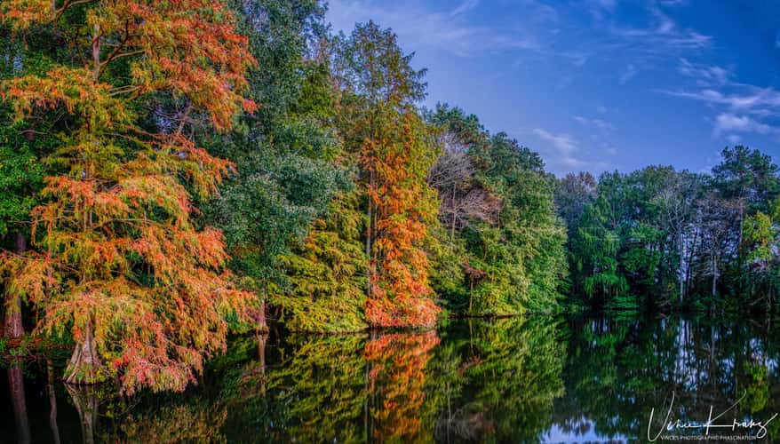 Trap Pond