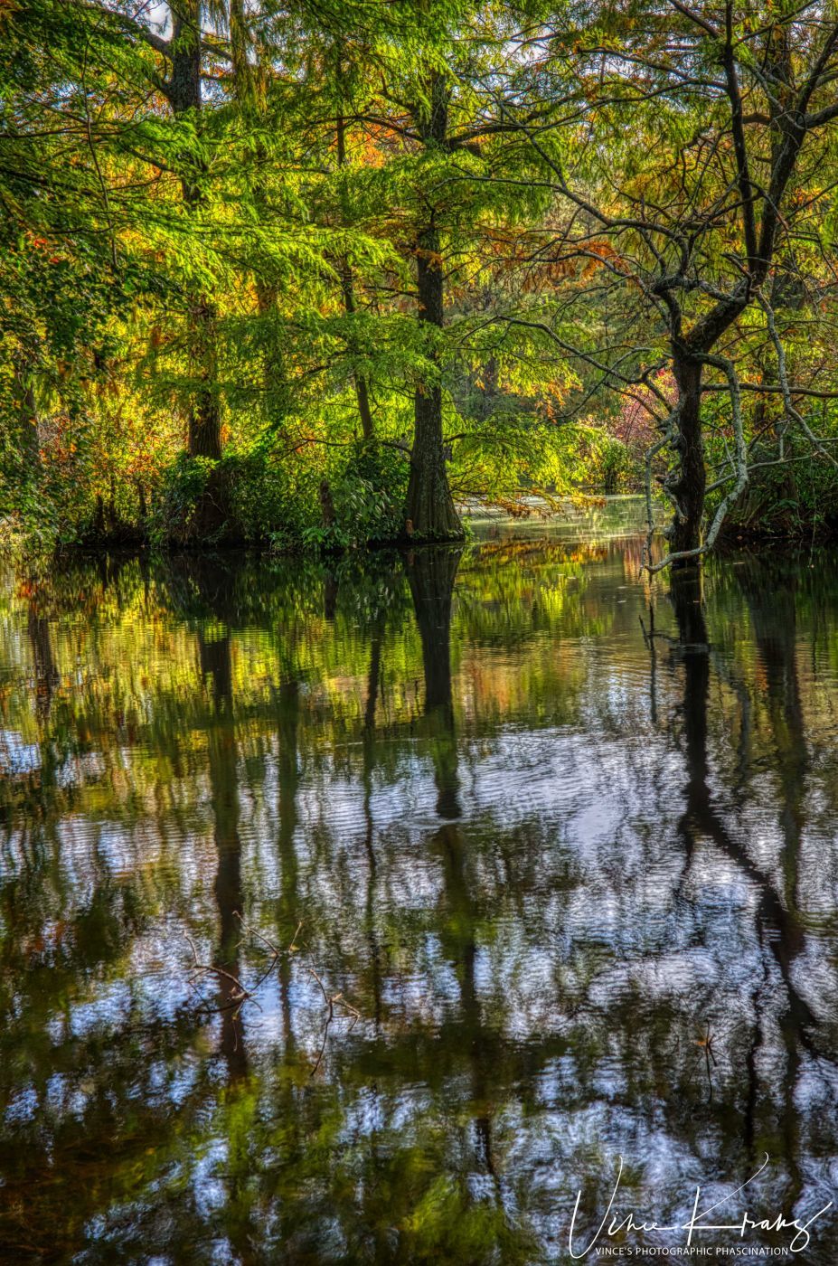 Trap Pond, USA