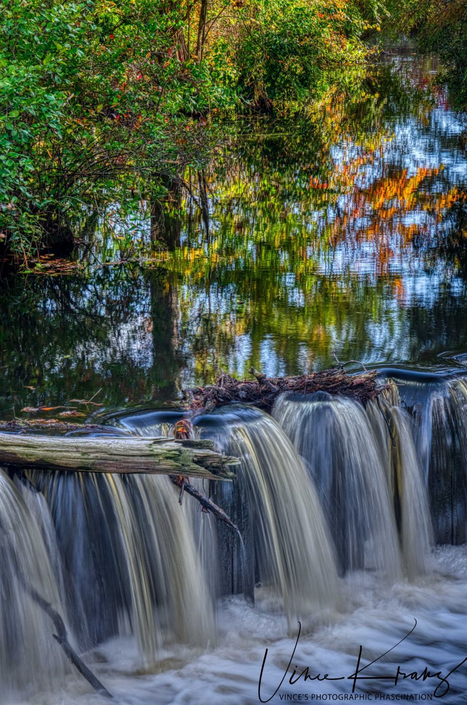 Trap Pond, USA