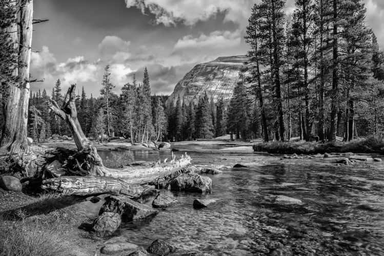Tuolumne river