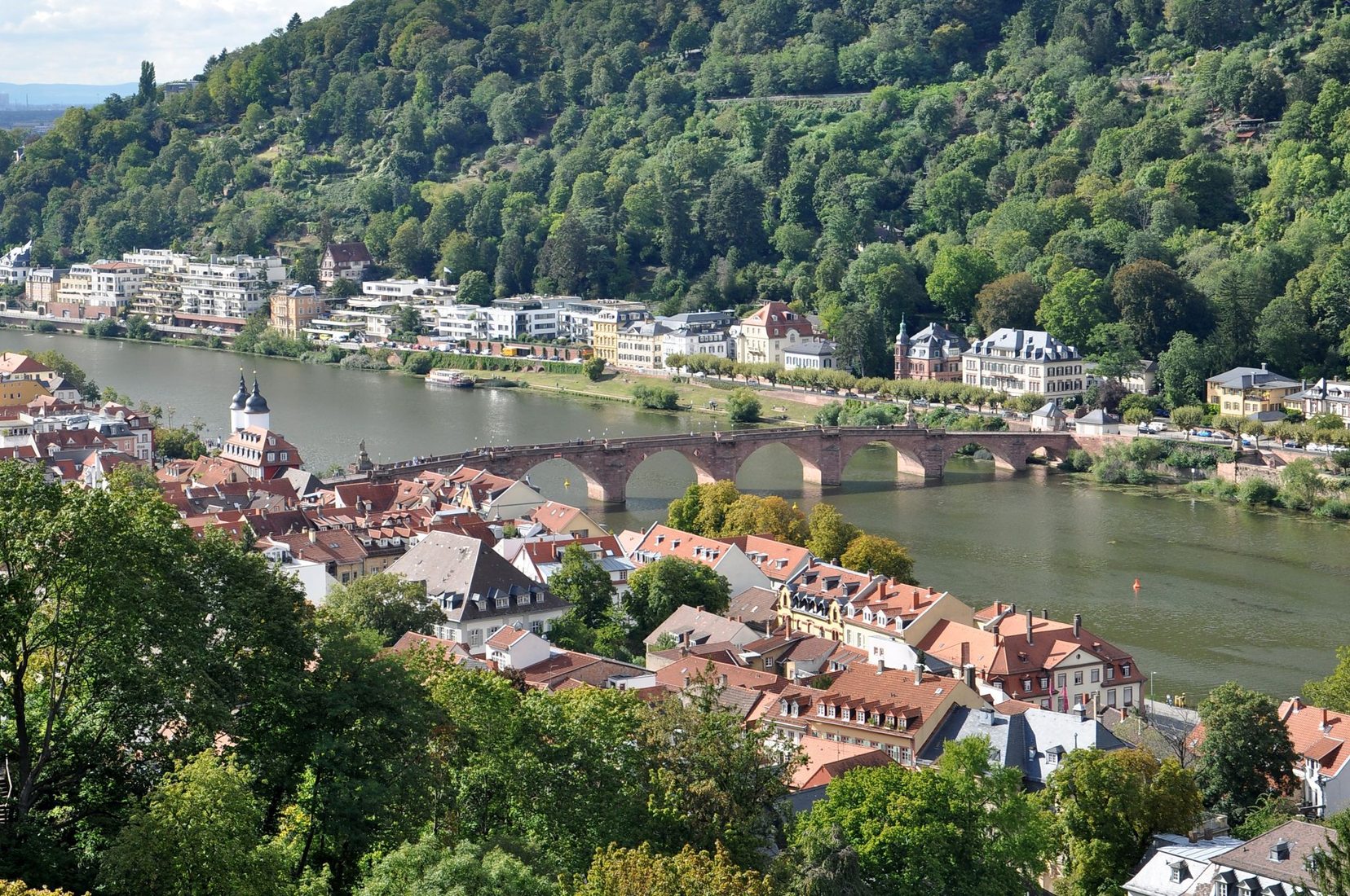 view of Neckar river and the old bridge, Germany