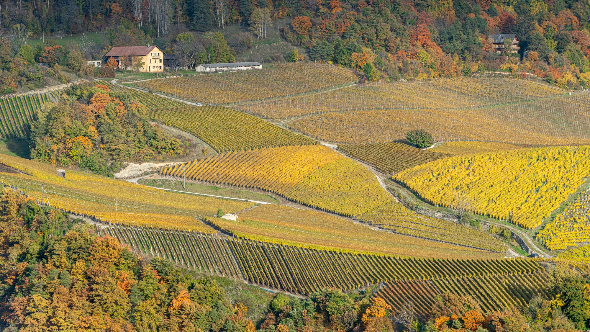 Vignes de Lens, Switzerland