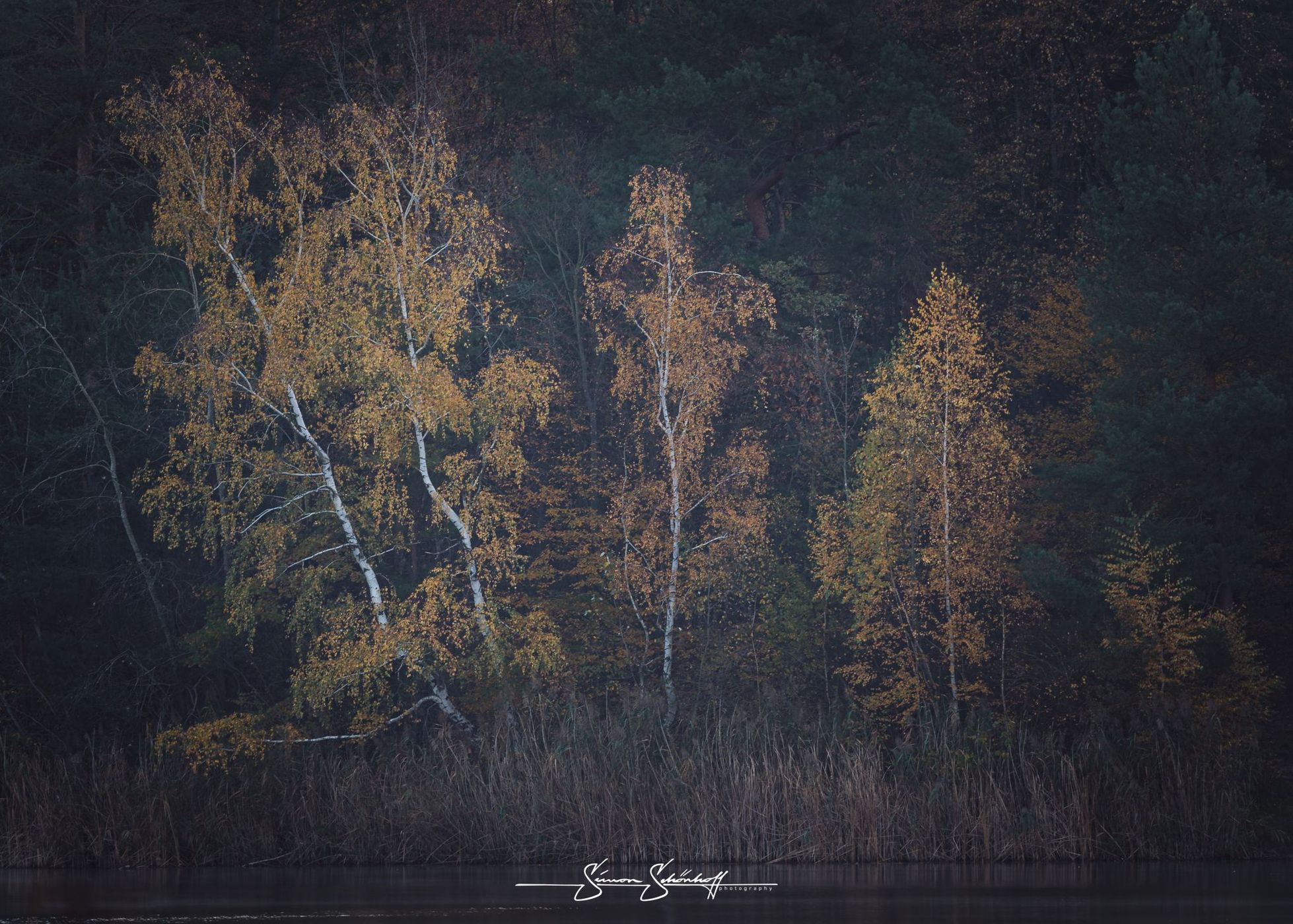 Waldsee Walldorf, Germany