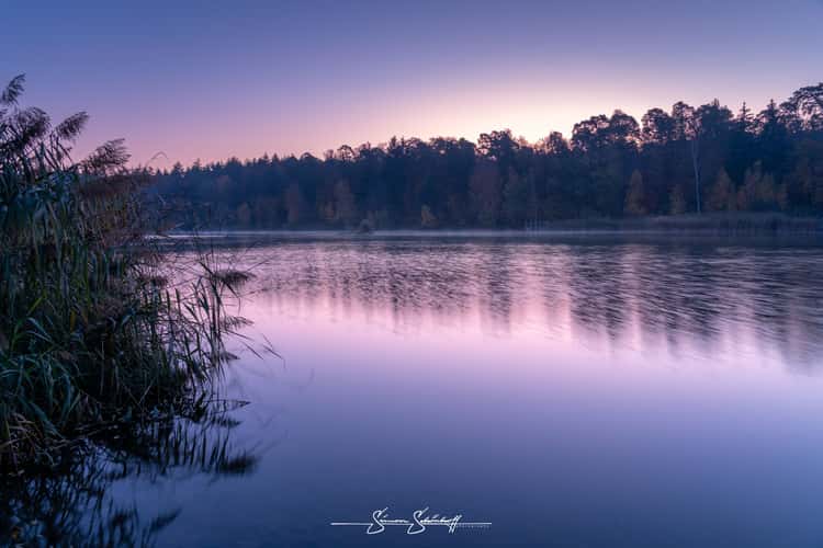 Waldsee Walldorf
