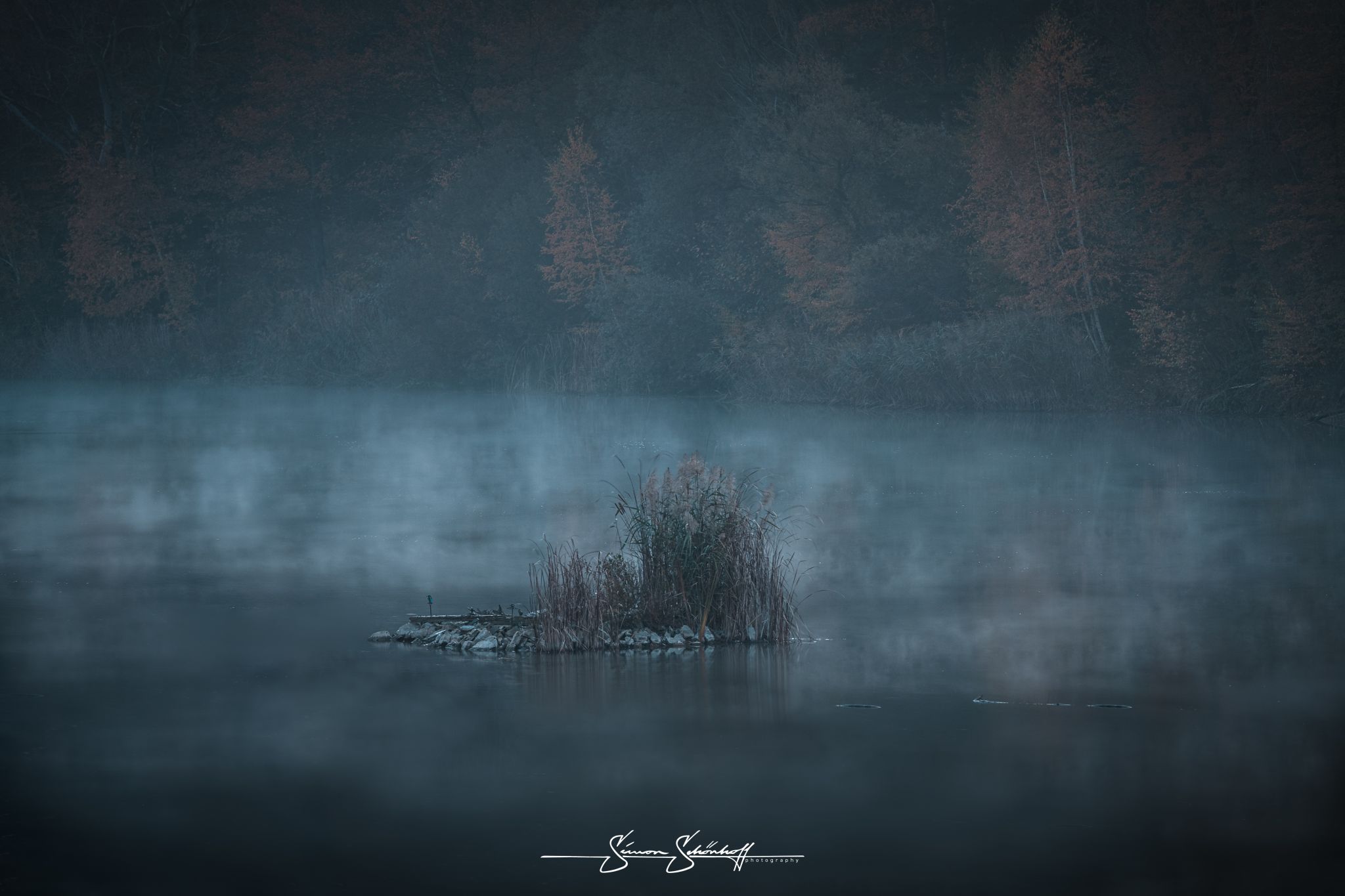 Waldsee Walldorf, Germany