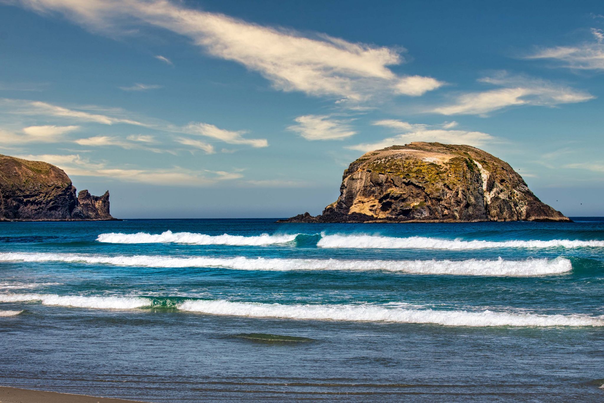 Wharekakahu Island, Allans Beach, Cape Saunders,, New Zealand
