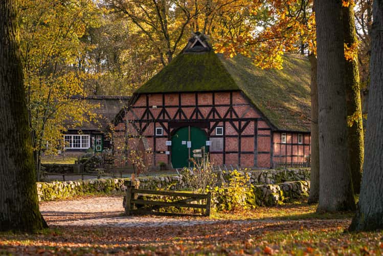 Wilsede, Lüneburger Heide