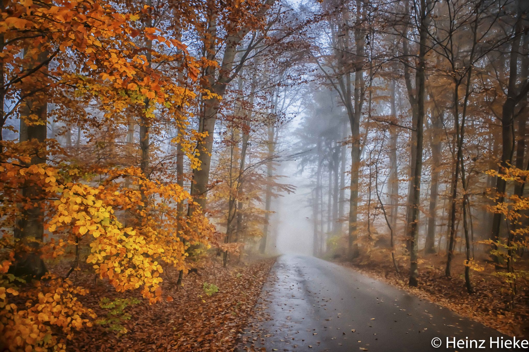 Wolfsbergstrasse, Switzerland