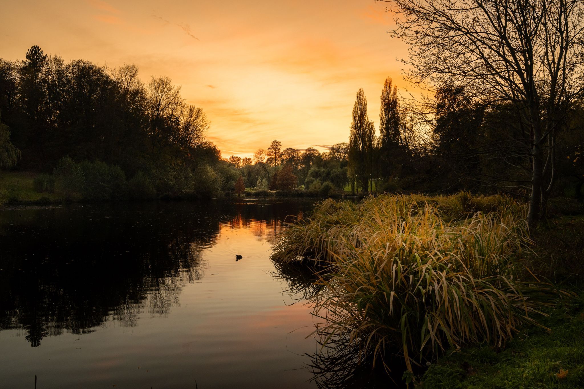 Woluwe, Brussels, Belgium