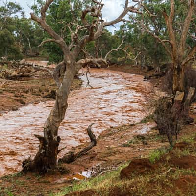 Yorkey Creek, Australia