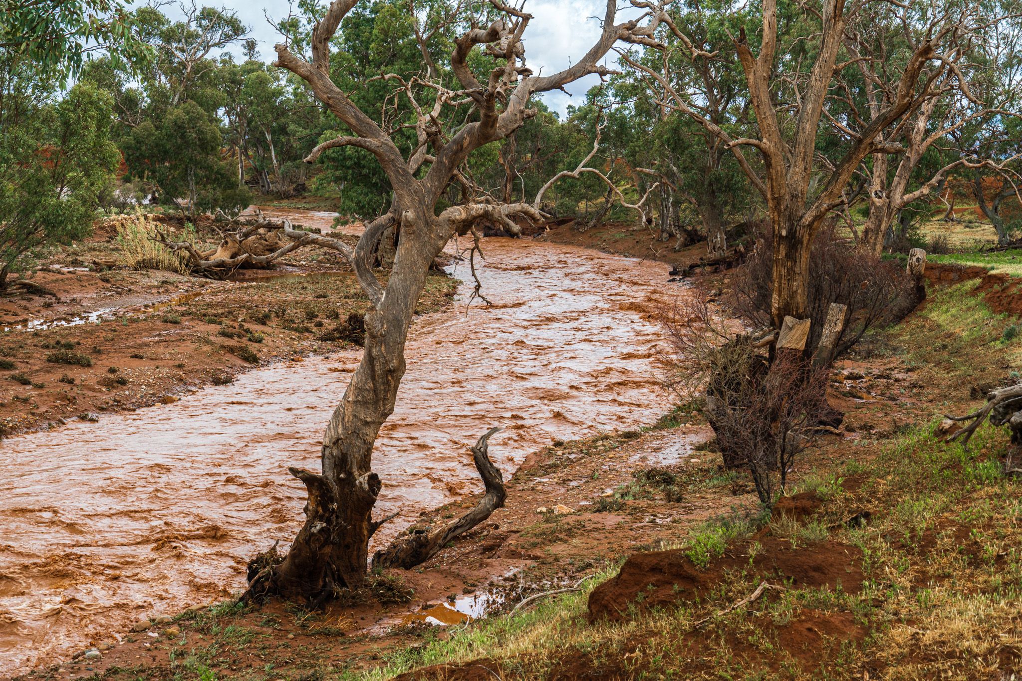 Yorkey Creek, Australia