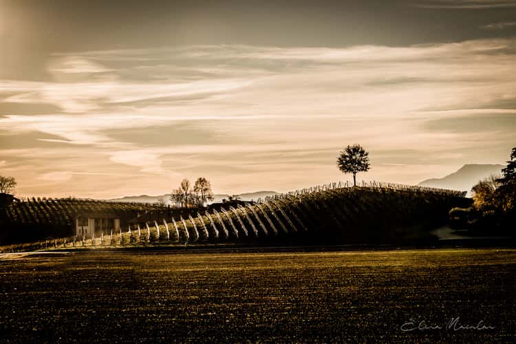 Zugliano, VI, Italia