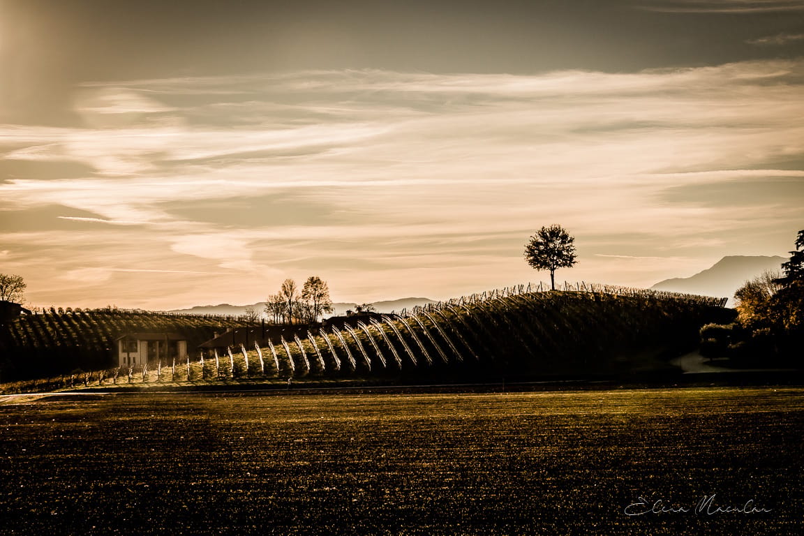 Zugliano, VI, Italia, Italy