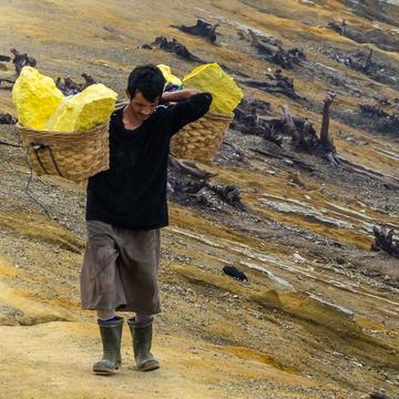 Appreciation of the sulfur carriers at Ijen volcano, Indonesia