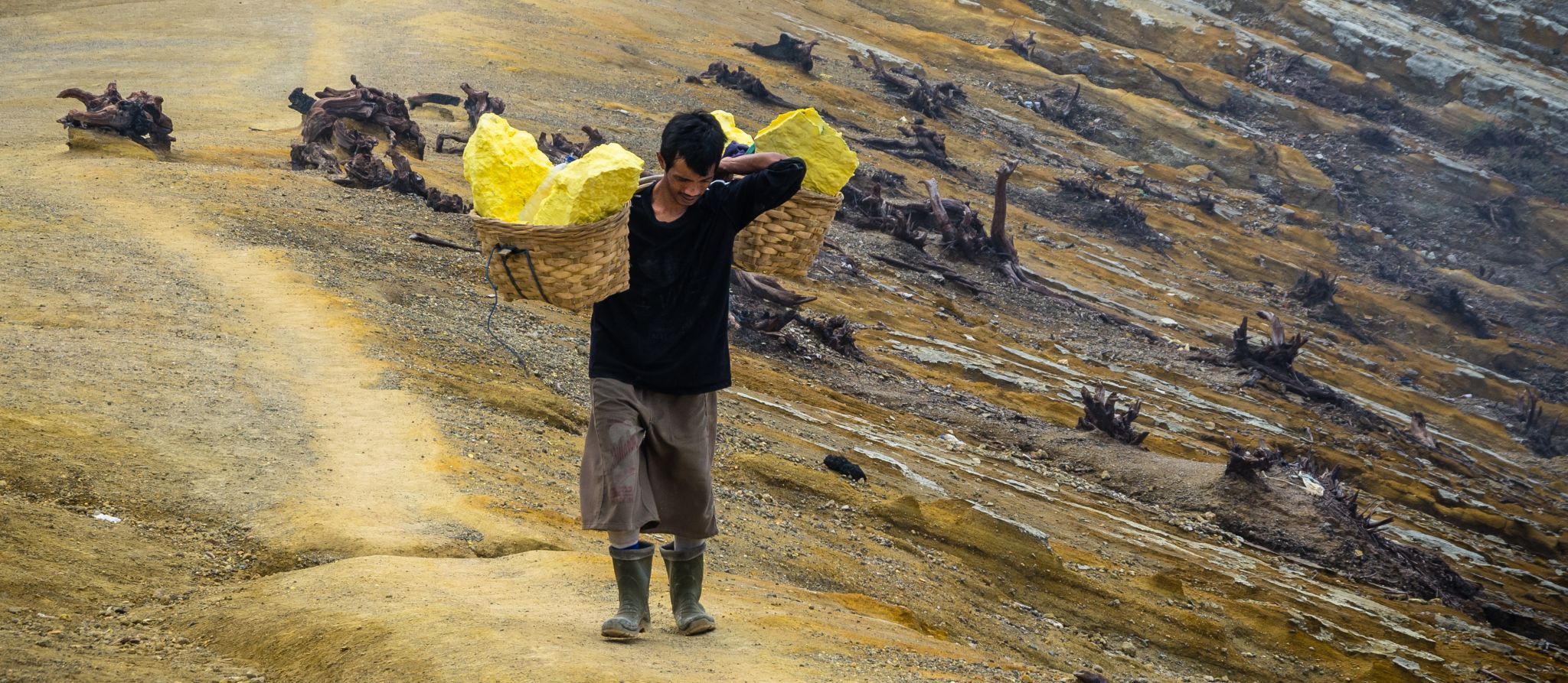 Appreciation of the sulfur carriers at Ijen volcano, Indonesia