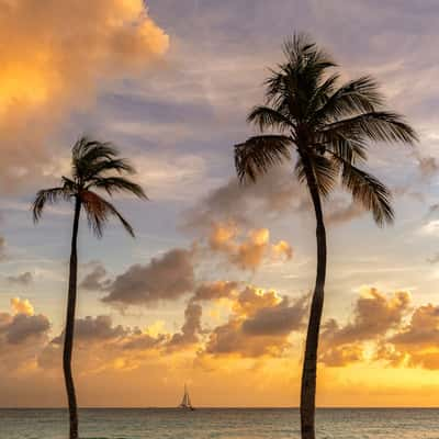 Aruba sunset, Aruba