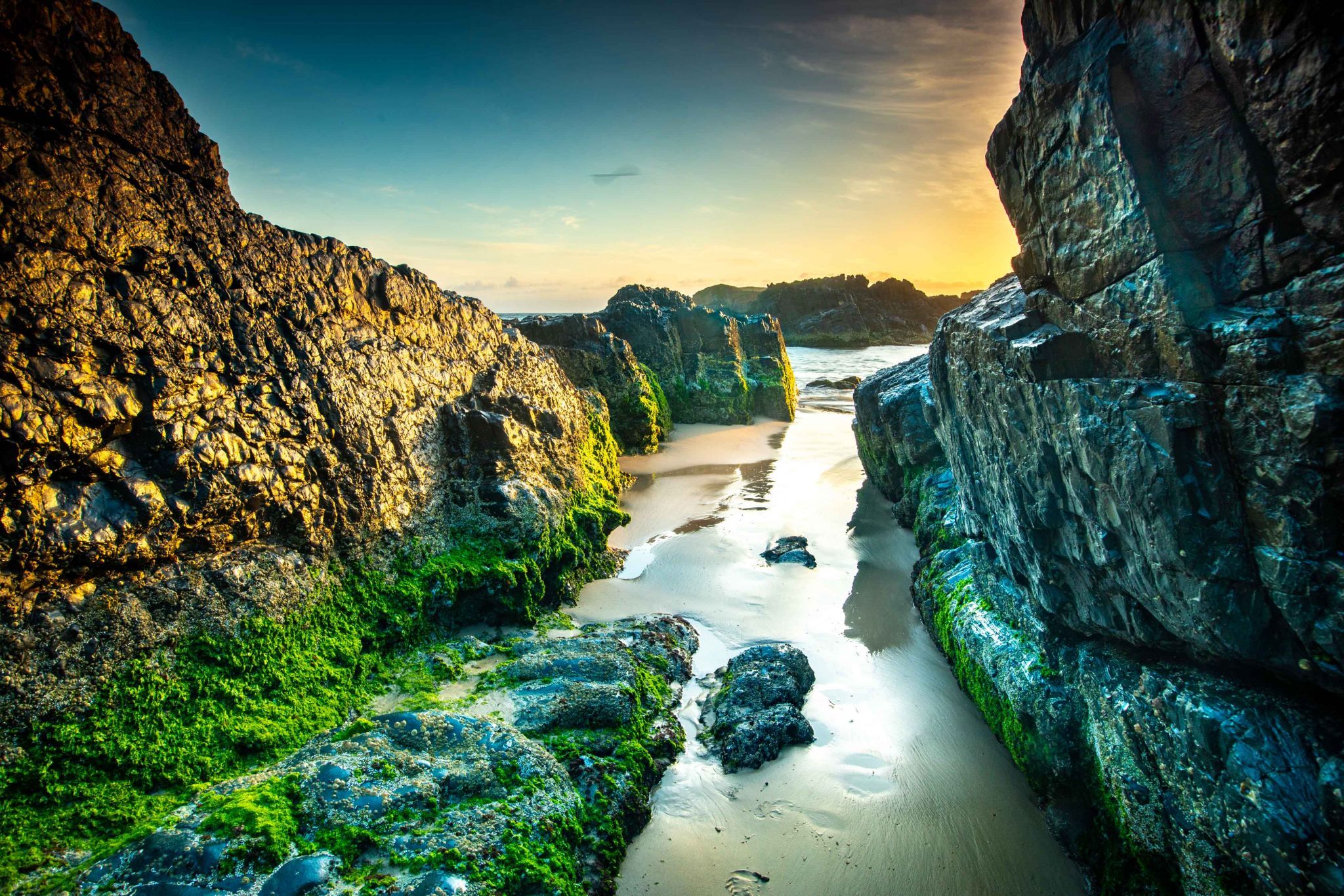 Between the rocks sunrise, Delicate Knobby New South Wales, Australia