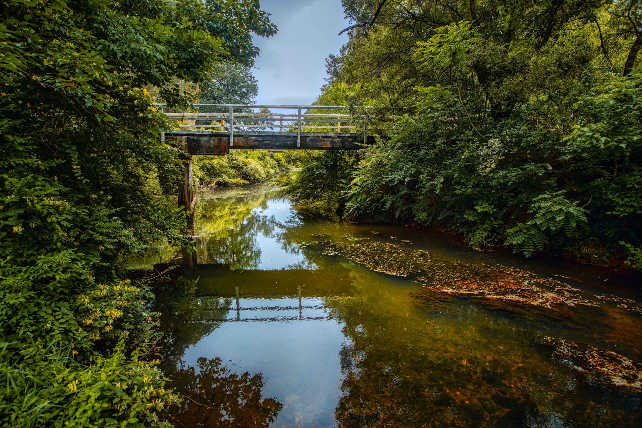 Bielsdown River Bridge, Dorigo, New South Wales, Australia