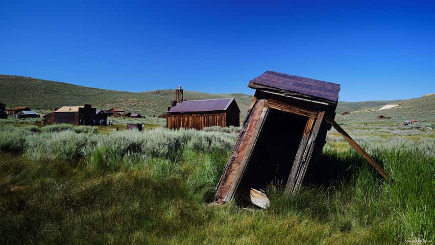 Bodie
