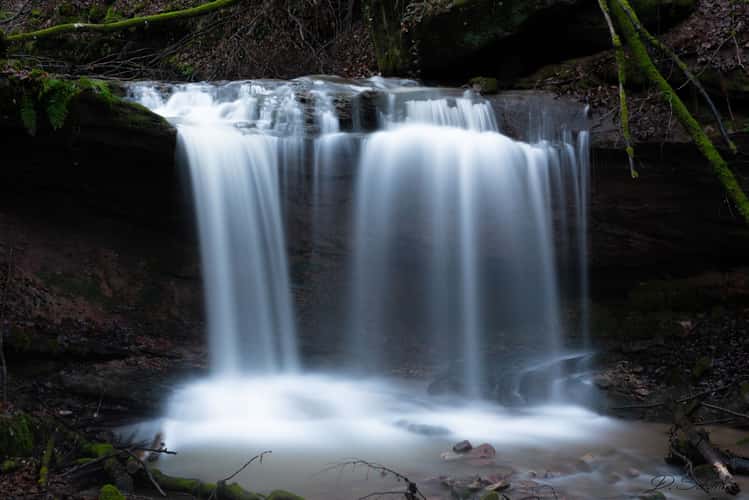 Butzerbachtal, Trier