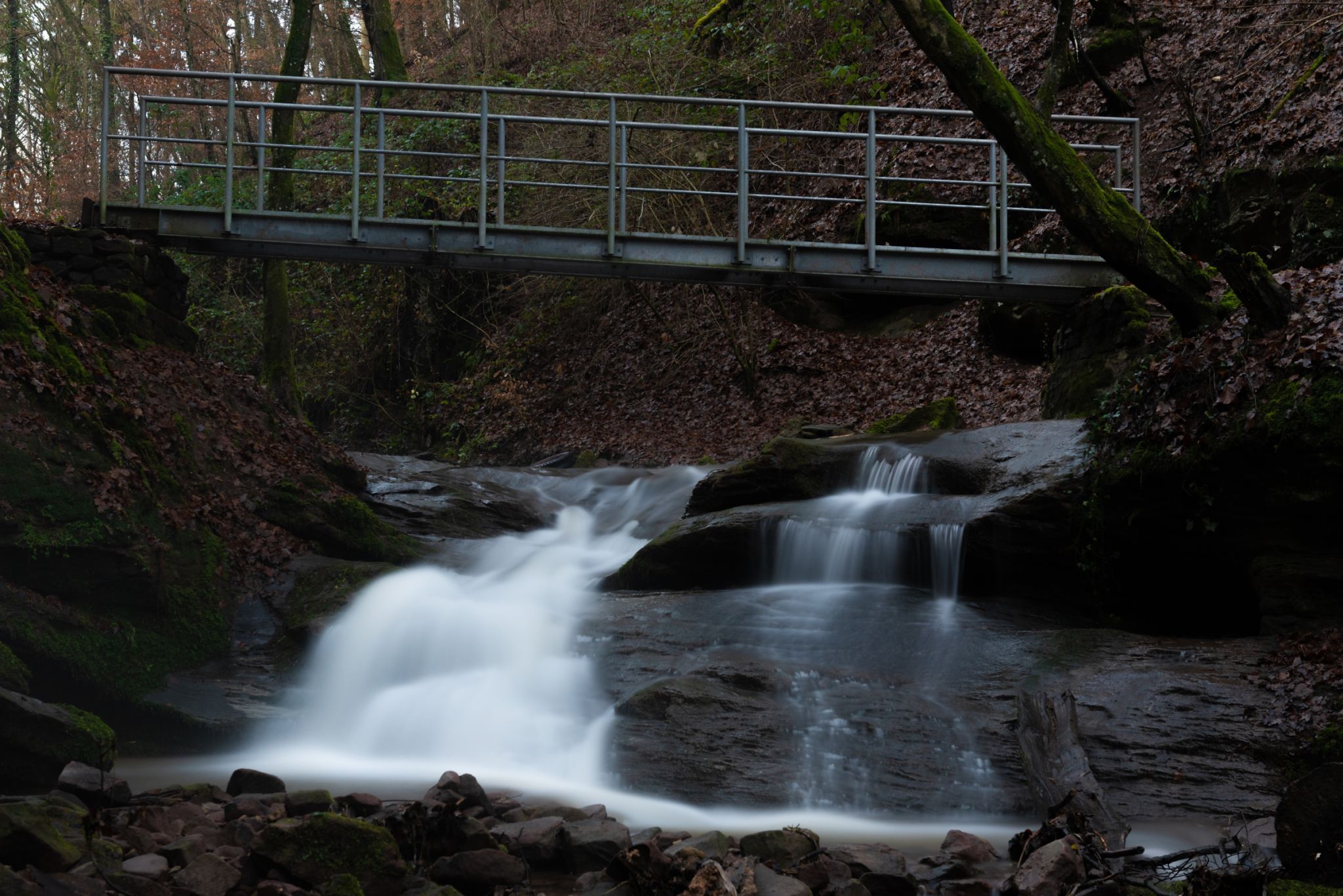 Butzerbachtal, Trier, Germany