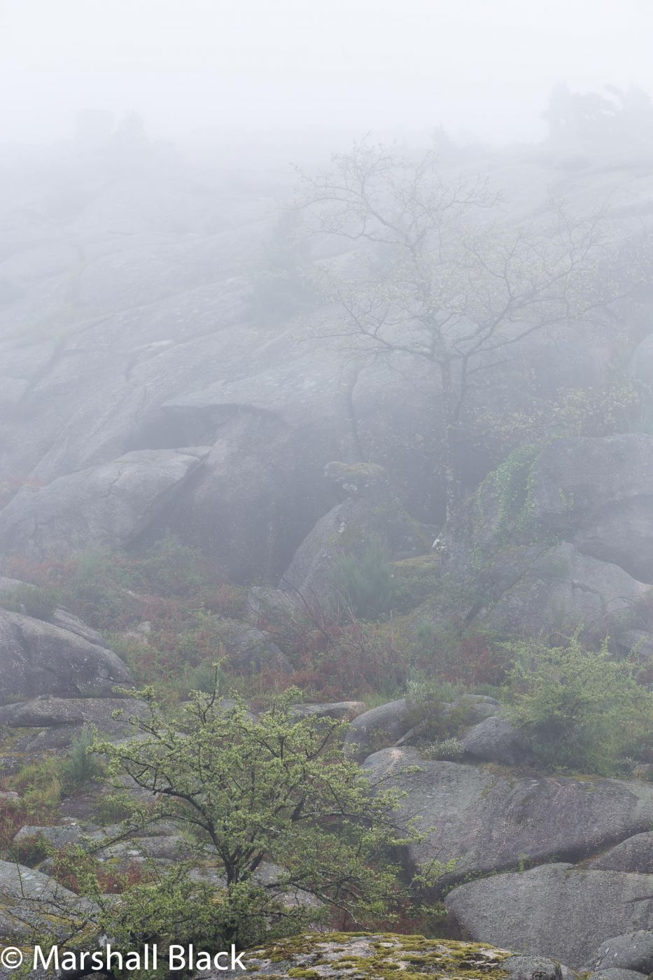 Calcedonia mists, Portugal