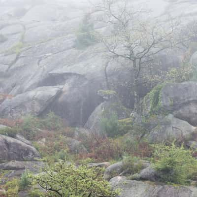 Calcedonia mists, Portugal