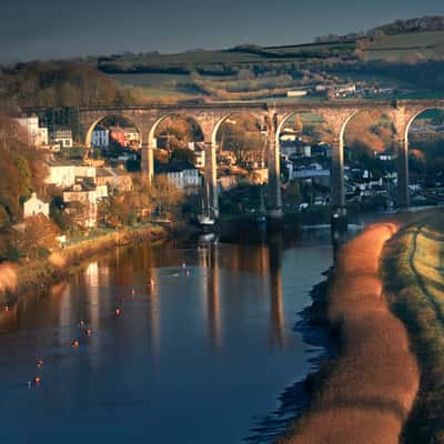 Cothele Valley, United Kingdom