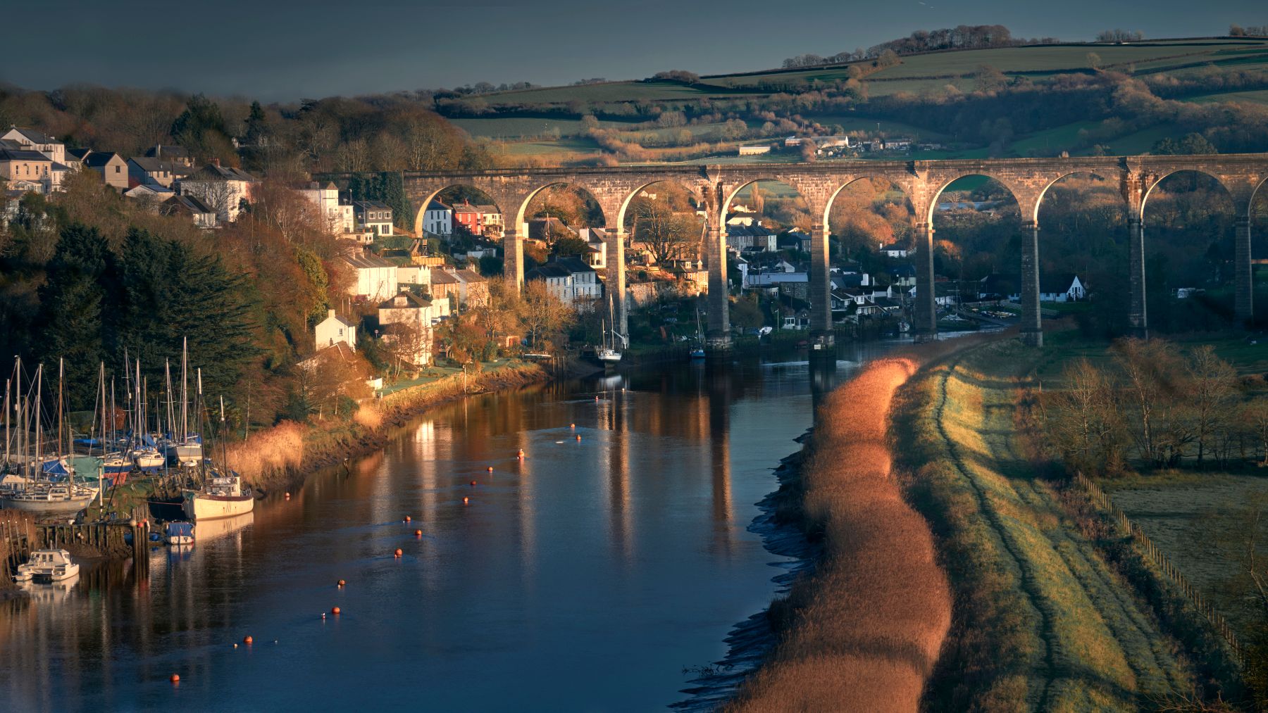 Cothele Valley, United Kingdom