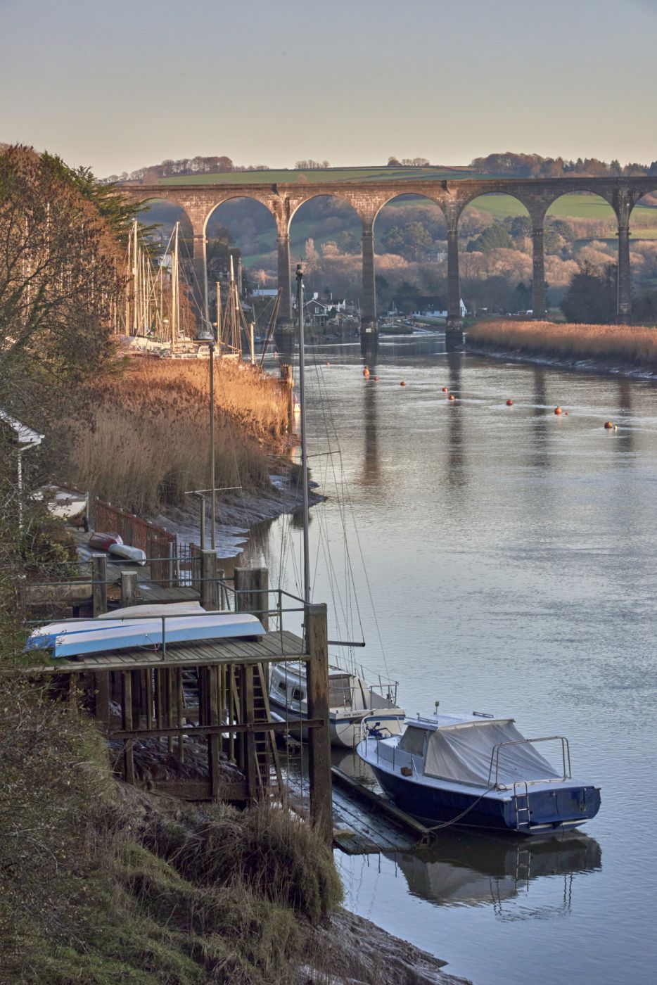 Cothele Valley, United Kingdom
