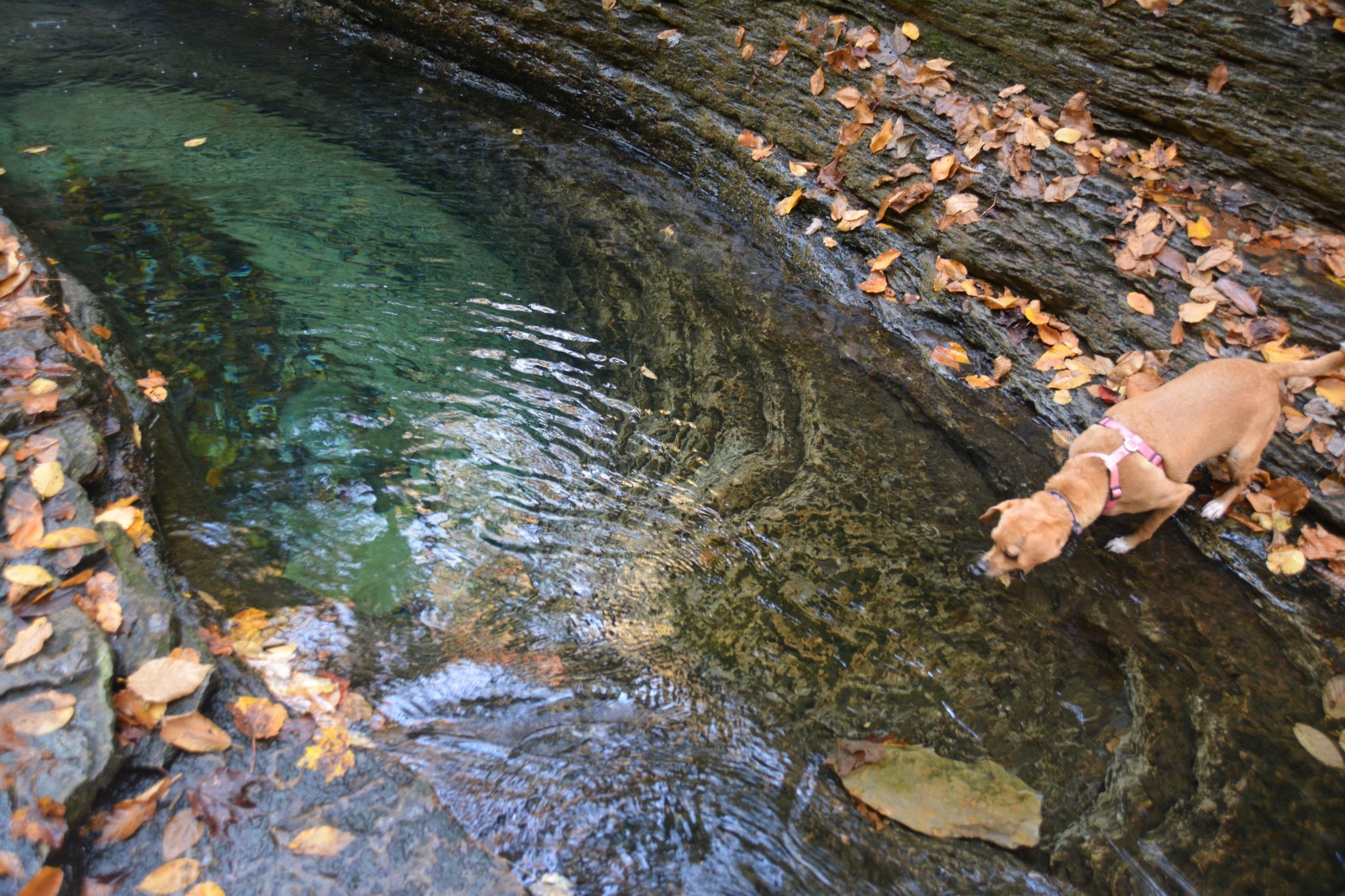 Devil's Bathtub, USA